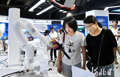 雄安新區(qū) 軟件開發(fā)驅動AI產(chǎn)業(yè)新生態(tài)加速形成