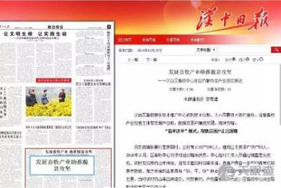 漢臺區(qū)畜牧獸醫(yī)技術(shù)推廣中心的創(chuàng)新實踐與成效